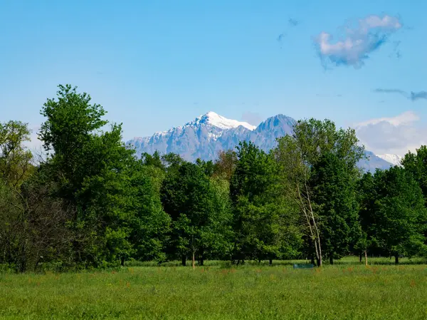 Nisan ayında Monza Parkı 'nın yolu, Brianza, Lombardy, İtalya