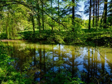 Nisan 'da Monza Parkı' nda, Brianza, Lombardy, İtalya