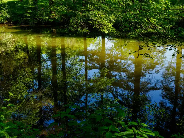 Nisan 'da Monza Parkı' nda, Brianza, Lombardy, İtalya