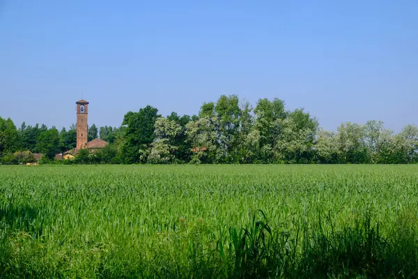 Mirazzano, Milan, Lombardy, İtalya, Santi Cosma e Damiano kilisesi