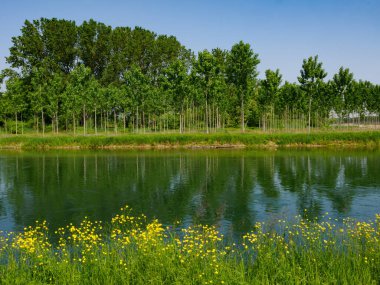 Baharda Muzza Kanalı boyunca uzanan manzara, Milano, Lombardy, İtalya