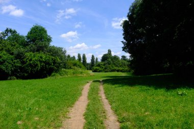 Parco Nord, Milano, Lombardy, İtalya 'daki halk parkı Mayıs ayında.