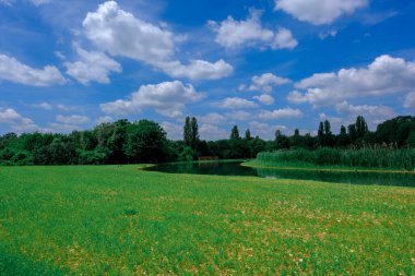 Parco Nord, Milano, Lombardy, İtalya 'daki halk parkı Mayıs ayında.
