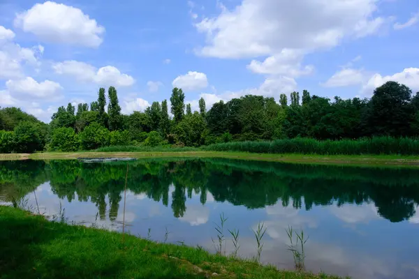 Parco Nord, Milano, Lombardy, İtalya 'daki halk parkı Mayıs ayında.