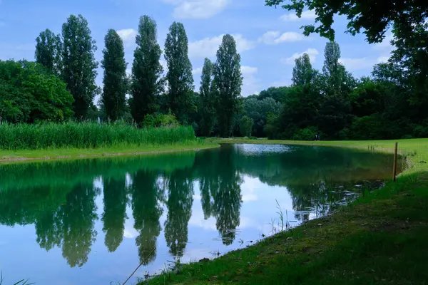 Parco Nord, Milano, Lombardy, İtalya 'daki halk parkı Mayıs ayında.