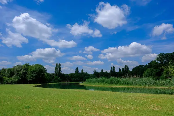Parco Nord, Milano, Lombardy, İtalya 'daki halk parkı Mayıs ayında.