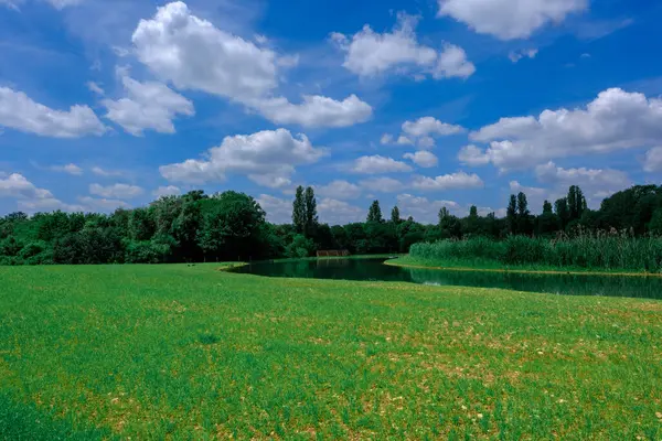 Parco Nord, Milano, Lombardy, İtalya 'daki halk parkı Mayıs ayında.