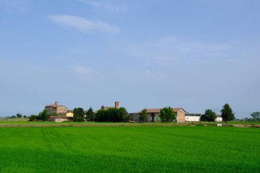 Terranova yakınlarındaki kırsal alan, Casale Monferrato, Alessandria ili, Piedmont, İtalya
