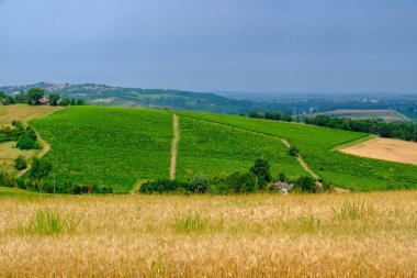 Casale Monferrato yakınlarındaki kırsal alan, Alessandria ili, Piedmont, İtalya