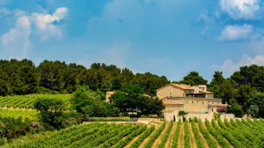 Herault, Languedoc-Roussillon, Fransa 'da üzüm bağı olan bir çiftlik, Montagnac ve Montpellier arasında.