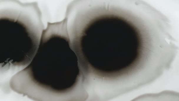 Een Inktdruppel Verf Waterspetters Vlekken Spatten Gedempt Zwart Vuil Vloeistof — Stockvideo