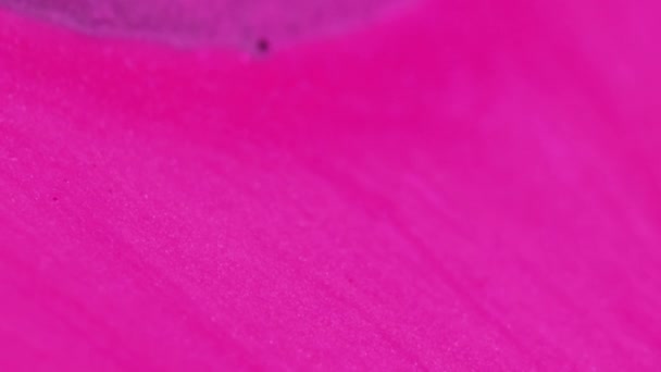 Гламурное Прошлое Блестящая Смесь Абстрактное Искусство Ослабленный Красочные Розовые Фиолетовые — стоковое видео
