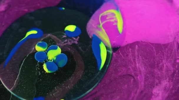 ネオンペイントウォーター オイルドロップ浮遊 明るいピンクの紫色の黄色の青色透明なぬれた泡インクの霧の質黒い芸術の抽象的な背景 — ストック動画