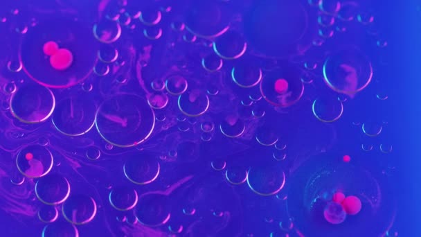 Abstracte Achtergrond Verf Mix Bubbels Kleurrijk Oliewater Heldere Roze Transparante — Stockvideo