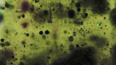 Köpük sıvısı. Yağ dokusu. Mürekkep damlası. Odaksız yeşil renk şeffaf ıslak jel boya oksijen çemberi yüzen hareket sanatı soyut arka plan.