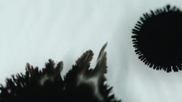 Mürekkep Sıçraması Suyun Içine Boya Damlıyor Toprak Dökülmüş Odaklanamayan Siyah — Stok video