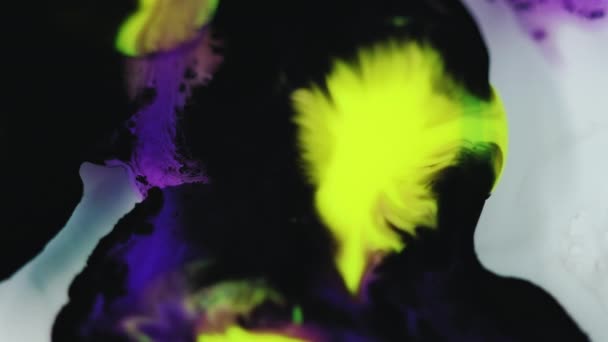 Tintenmischung Malen Sie Wassermischung Defokussiert Neon Gelb Lila Schwarz Farbe — Stockvideo