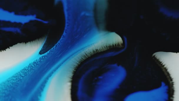Paint Flow Ink Blend Wave Defocused Blue Black White Color — Stock Video