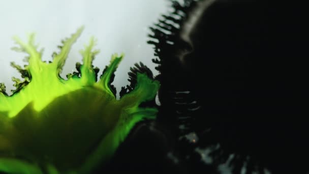 墨水掉了在水里喷涂油漆 湿淋淋的 脱色霓虹灯绿色黑色液体污迹扩散波流揭示了光抽象艺术背景下的运动 — 图库视频影像
