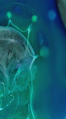 Mürekkep karıştırma arkaplanı. Parıltılı boya. Akışkan pullar sanat eseri. Parıldayan parçacıklardaki metalik gri mavi sıvı şeffaf yağ kabarcıkları soyut hipnotik girdapları harmanlıyor..