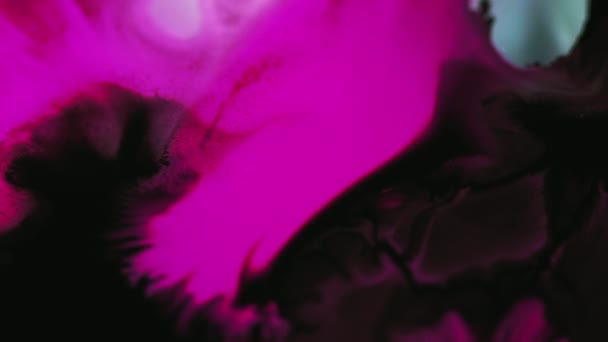 インクブレンド 水を混ぜる 非割り当てられたネオン マゼンタ ピンク ブラック カラー アクリル 液滴の流れの動き 創造的な芸術の抽象的な背景 — ストック動画