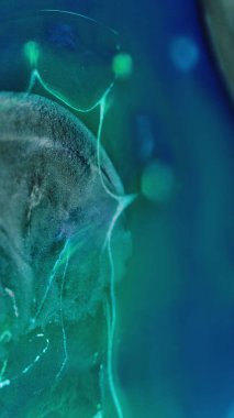 Mürekkep karıştırma arkaplanı. Parıltılı boya. Akışkan pullar sanat eseri. Parıldayan parçacıklardaki metalik gri mavi sıvı şeffaf yağ kabarcıkları soyut hipnotik girdapları harmanlıyor..