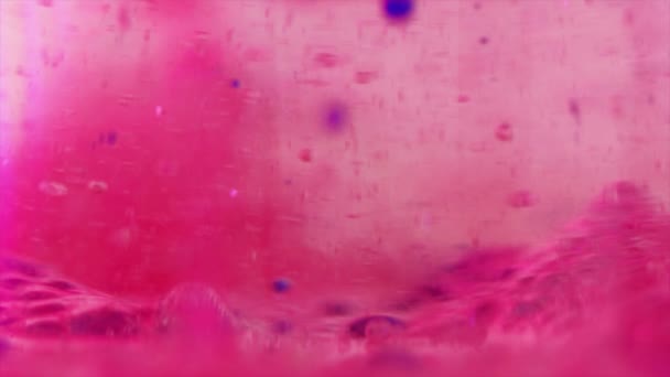 Gel Bubbels Textuur Verfdruppel Jelly Vocht Gedeocaliseerde Helder Roze Blauwe — Stockvideo