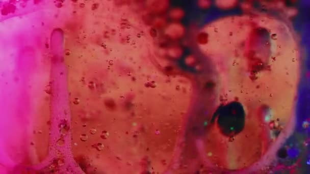 バブルフッ素 オイルテクスチャ 水滴を塗りました 赤いピンクの青い色透明な泡のぬれたゲル インクの混合の空気円の動きの装飾的な芸術の抽象的な背景 — ストック動画