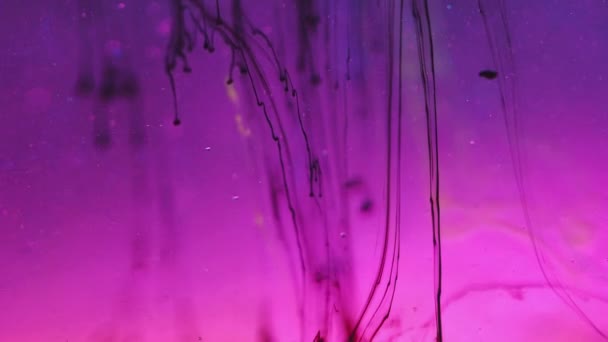 Abstrakter Hintergrund Tintenaufguss Unterwassermagie Schwarze Farbtropfenlinien Verbreiten Sich Lila Flüssigkeit — Stockvideo