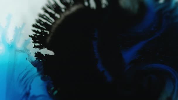 インクドロップ 水にペイントスプラッター ウェットスプラッシュ 不分割された青い黒い色の液体の汚れは波の流れを広げ 動き抽象的な芸術の背景を明らかにします — ストック動画