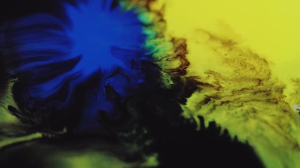 Farbtropfen Tinte Wasser Mischen Flüssiger Fleck Verwischen Gelb Blau Schwarz — Stockvideo