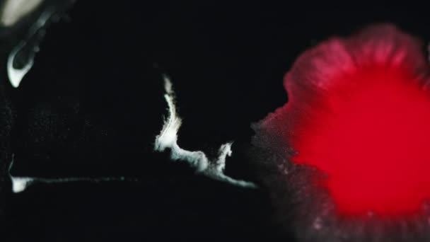 Farbtropfen Tintenwasser Spritzt Flüssiger Klecks Verwischen Rot Schwarz Farbe Nass — Stockvideo