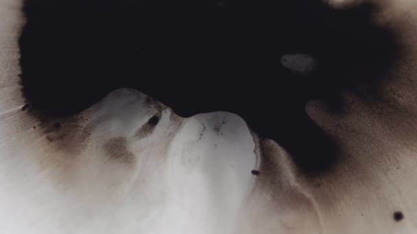 油漆飞溅 墨水水滴 湿土斑斑 白纹抽象背景下的脱色黑液斑点散射运动 — 图库视频影像