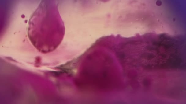 Цвет Пенных Пузырей Краска Капли Воды Расслабленный Неоновый Фиолетовый Розовый — стоковое видео