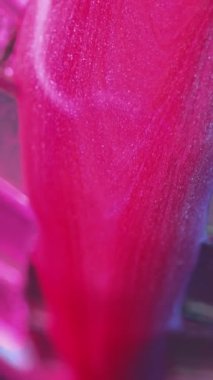 Dikey video. Gece kulübü geçmişi. Boya akışı. Moda disko tarzı. Pembe parlak parlak sıvı mürekkep gümüş cam ayna küre karelere yayılıyor..