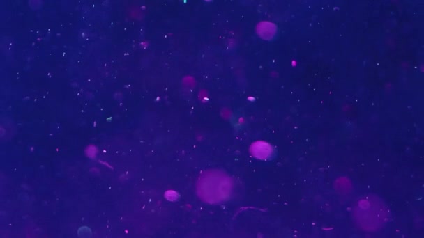 Bokehljus Oskärpa Skimrande Vattenpartiklar Flödar Strålande Cirklar Flyter Mörkblå Violett — Stockvideo
