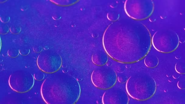 オイルバブルの背景 シャイマーインク スパークリング液ブレンド ネオンピンクブルーに広がる円形の脂肪汚れ 流体抽象的な流れ — ストック動画