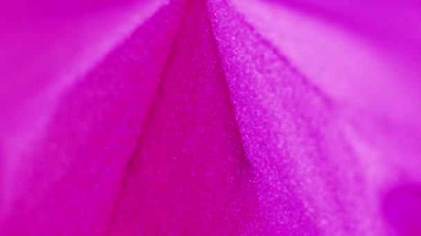 Piramide Glitter Sfocatura Luce Neon Sfocato Fluorescente Magenta Rosa Blu — Video Stock