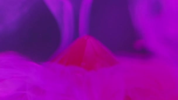 Mürekkep Bırakma Arkaplanı Boya Sıvısı Soyut Sis Sanatı Neon Pembe — Stok video
