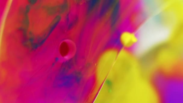 페인트 초점이 생생한 분홍색 노란색 파란색 반투명 추상적인 — 비디오