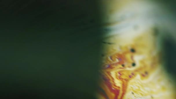 Bläck Utsläpp Måla Blandningen Marmorstruktur Blur Orange Rosa Vit Svart — Stockvideo