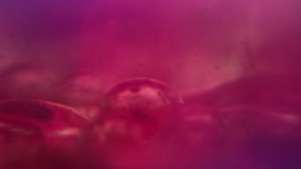 Neon Flüssigkeitsblasen Defokussierter Hintergrund Verwischen Magenta Rosa Blau Lila Farbe — Stockvideo