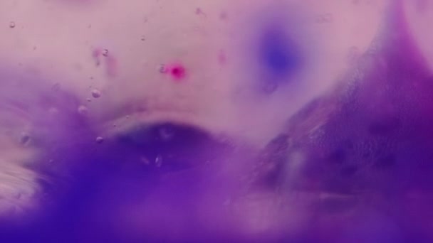 泡の泡 ゲルフリードロップ インク水 分割されたネオン パープル ブルー カラーズ 液体ペイント スプラッシュ 浮遊芸術の抽象的な背景 — ストック動画