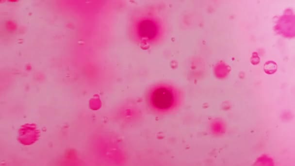 ゲルテクスチャー バブルフッ素 水滴を塗りました 明るいピンク色の半透明なオイルぬれたインクの空気円の動きの装飾的な芸術の抽象的な背景 — ストック動画