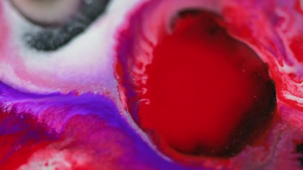 墨水洒了油漆混合 模糊的红色紫色白色闪光粒子质感丙烯酸液体混合波运动抽象艺术背景 — 图库视频影像