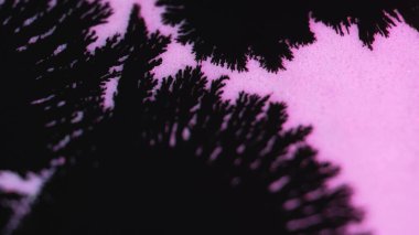 Mürekkep damlası. Boya serpintisi. Odaklanmamış siyah renk ıslak çamur lekesi pembe parçacık dokusunda hareket yayıyor soyut arkaplan.