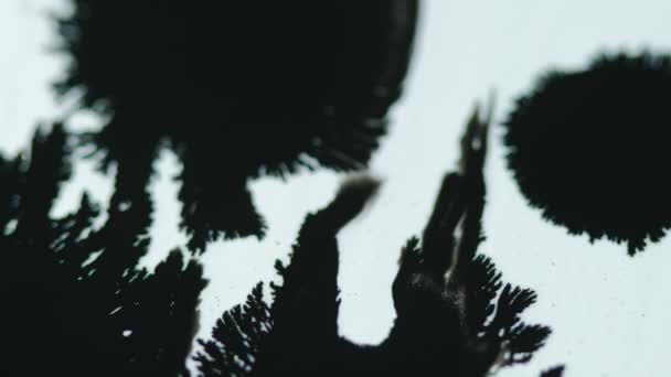 Mürekkep Damlası Boya Serpintisi Odaklanmamış Siyah Çamur Lekesi Beyaz Tahıl — Stok video