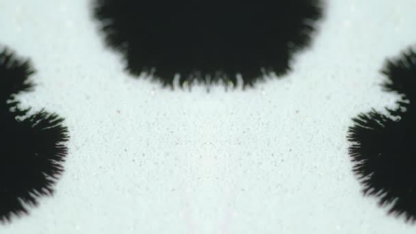 墨水掉了油漆飞溅 脱色黑湿污迹斑斑在白色蓝光纹理抽象背景下的扩散运动揭示了其效果 — 图库视频影像