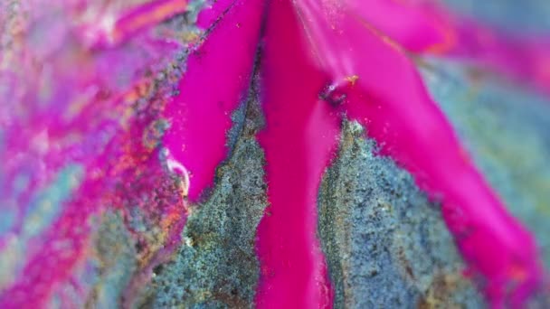 Inkt Achtergrond Glitterverf Kleurvloeistofmix Boeiende Hypnotiserende Macro Abstract Design Roze — Stockvideo