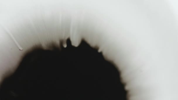インクドロップ 水スプラッターを塗る スタイン スプラッシュ 白いオープナーの抽象的な背景の分散された黒い流体の広がる波の流れの動き — ストック動画